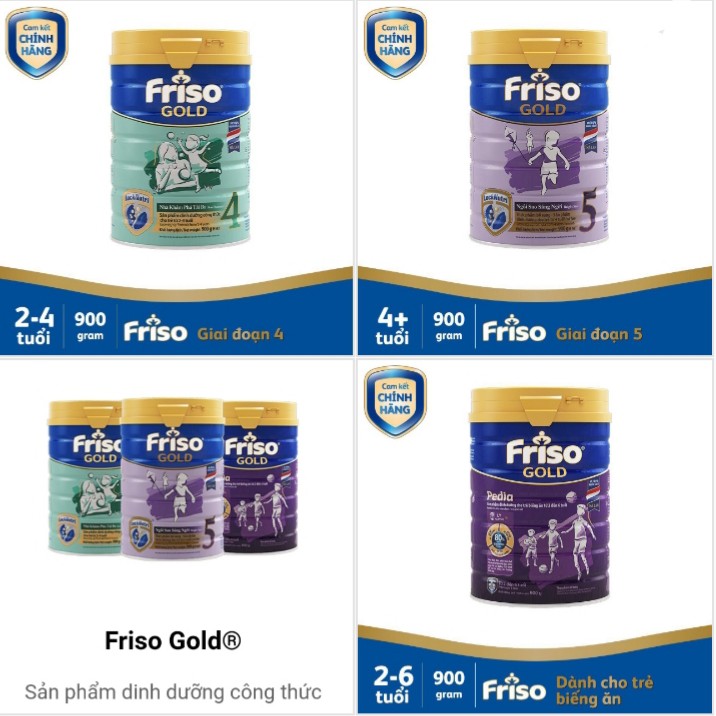 friso-gold-pedia-1.jpg