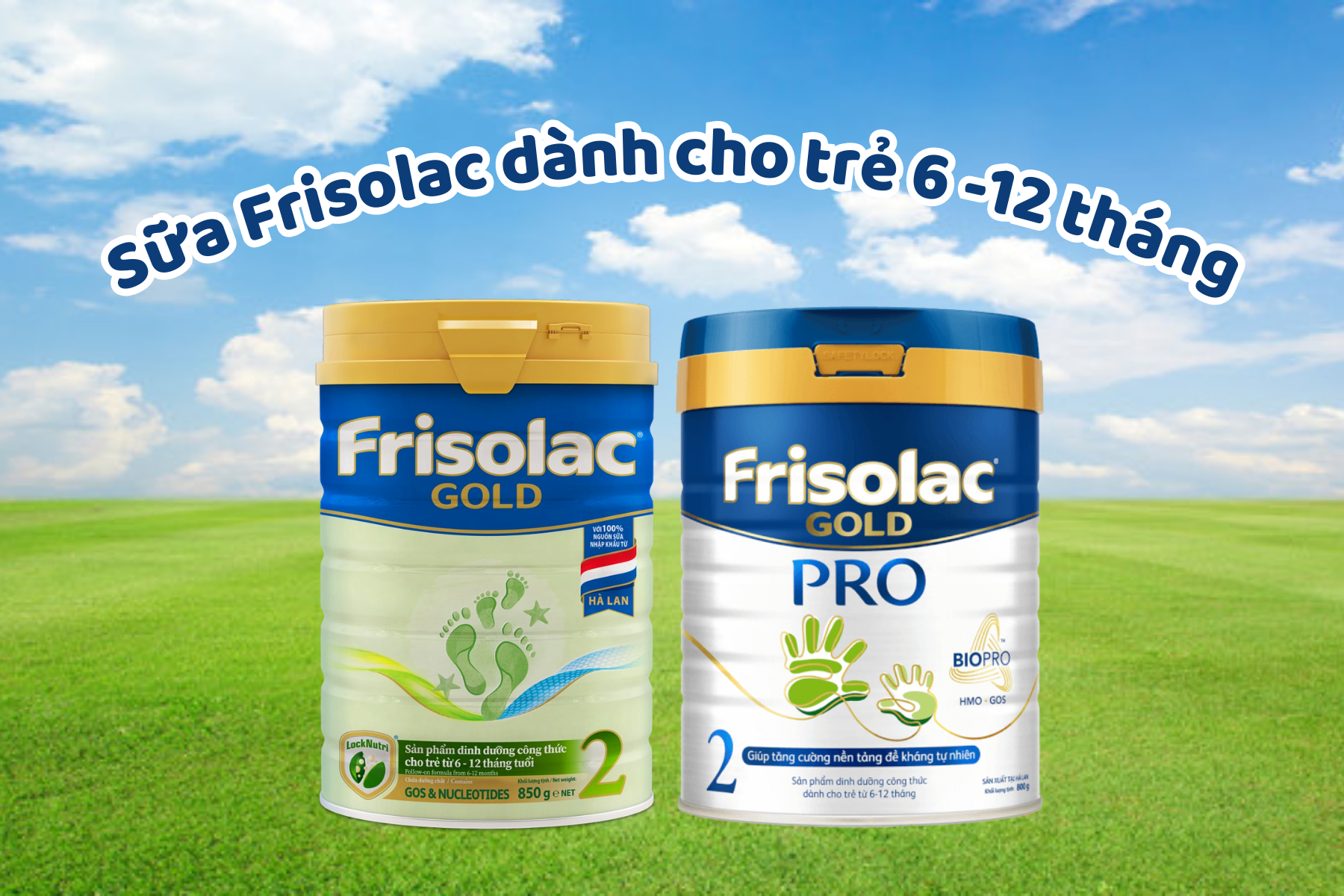 Các loại sữa Frisolac Gold cho trẻ 6-12 tháng