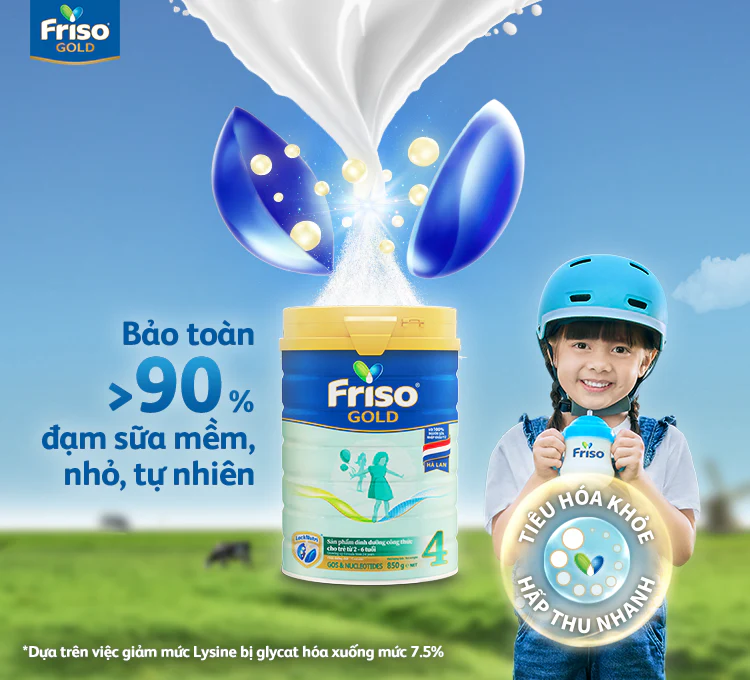 Sua-friso-gold